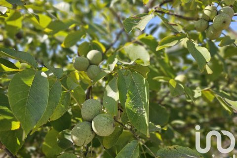 Proprietà commerciale in vendita a Gandesa, Tarragona, Spagna N° 152996 - foto 19
