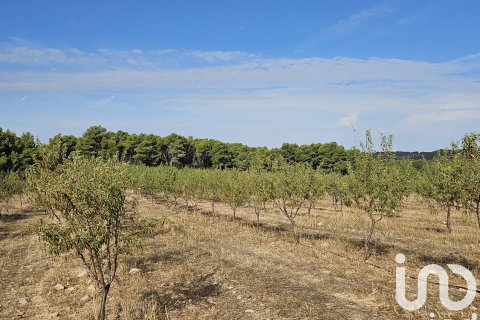 Proprietà commerciale in vendita a Gandesa, Tarragona, Spagna N° 152996 - foto 7