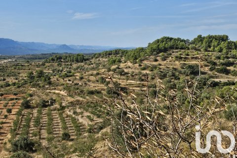 Proprietà commerciale in vendita a Gandesa, Tarragona, Spagna N° 152996 - foto 10