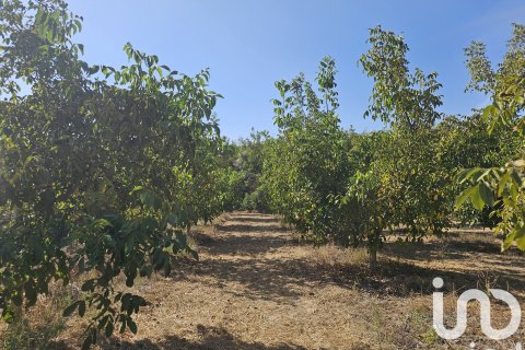 Proprietà commerciale in vendita a Gandesa, Tarragona, Spagna N° 152996 - foto 16