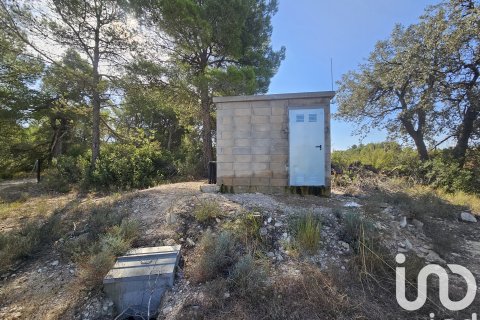 Proprietà commerciale in vendita a Gandesa, Tarragona, Spagna N° 152996 - foto 13