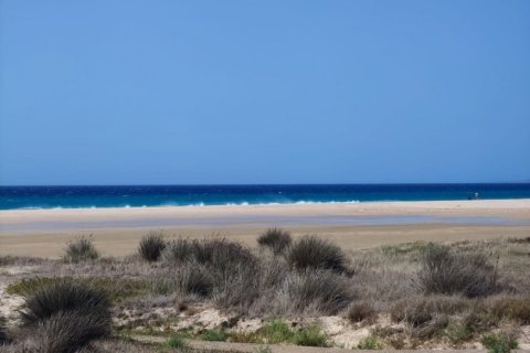 Liikekiinteistö myytävänä Tarifa, Cadiz, Espanja , 200 m2 No. 152991 - kuva 7