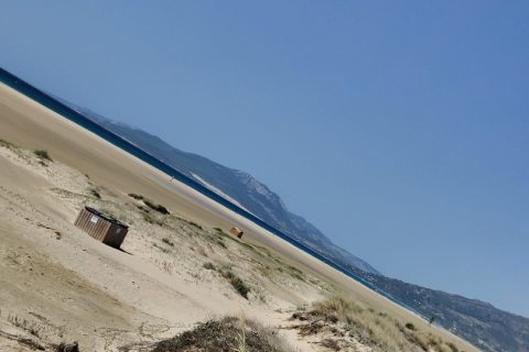 Liikekiinteistö myytävänä Tarifa, Cadiz, Espanja , 200 m2 No. 152991 - kuva 4