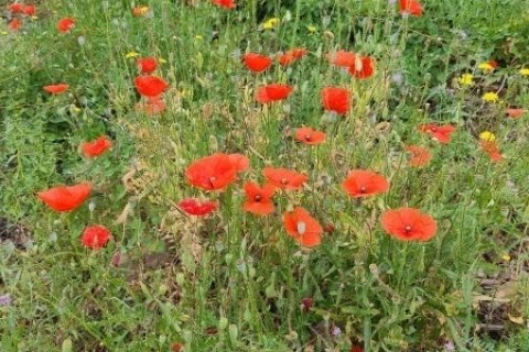 Apartament w Montcada i Reixac, Barcelona, Hiszpania 3 sypialnie, 103 mkw. nr 152990 – zdjęcie 13