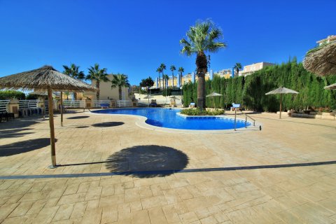 Huoneisto myytävänä Cabo Roig, Alicante, Espanja, 3 makuuhuonetta, 100 m2 No. 136720 - kuva 30