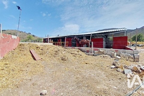 House zum Verkauf in Orihuela, Alicante, Spanien 3 Schlafzimmer, 244 m2 Nr. 187804 - Foto 28