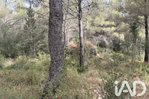 Parcela en venta en Calafell, Tarragona, España 1273 m2 No. 187806 - foto 4