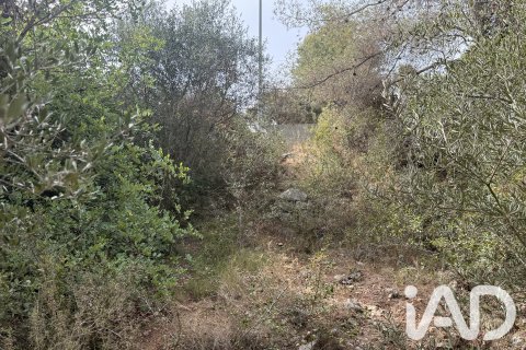 Parcela en venta en Calafell, Tarragona, España 1273 m2 No. 187806 - foto 7