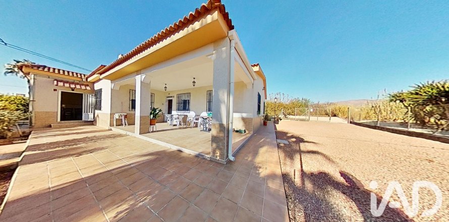 House in Crevillent, Alicante, Spain 3 bedrooms, 165 sq.m. No. 187803
