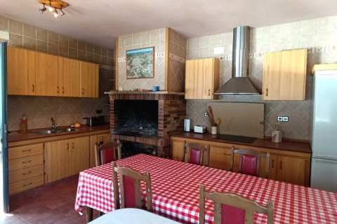 Продажа дома в Эспаррегуэра, Барселона, Испания 5 спален, 702м2 №153441 - фото 26