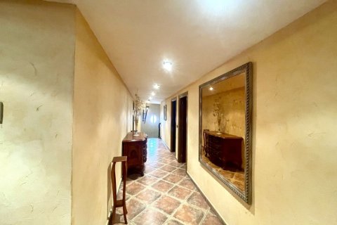 Villa pārdošanā Formentera del Segura, Alicante, Spānijā 5 istabas, 500 m2 Nr. 189512 - attēls 20