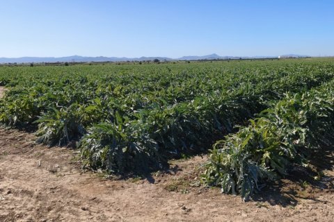 Liikekiinteistö myytävänä Roldan, Murcia, Espanja , No. 152257 - kuva 8