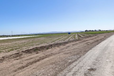 Liikekiinteistö myytävänä Roldan, Murcia, Espanja , No. 152257 - kuva 4