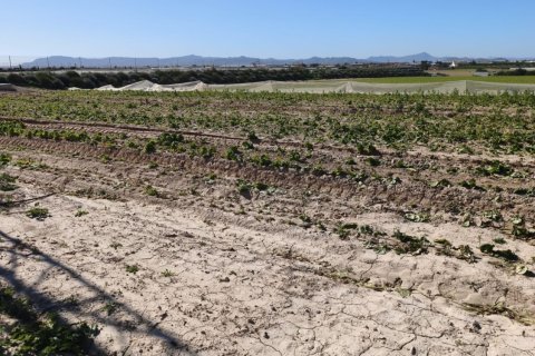 Liikekiinteistö myytävänä Roldan, Murcia, Espanja , No. 152257 - kuva 10