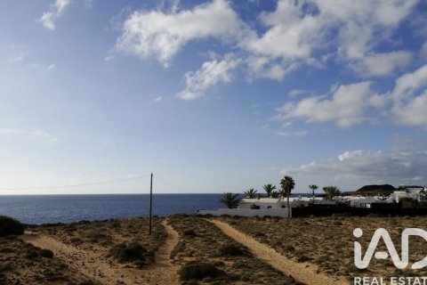 Liikekiinteistö myytävänä Mala, Lanzarote, Espanja , 1214 m2 No. 152254 - kuva 19