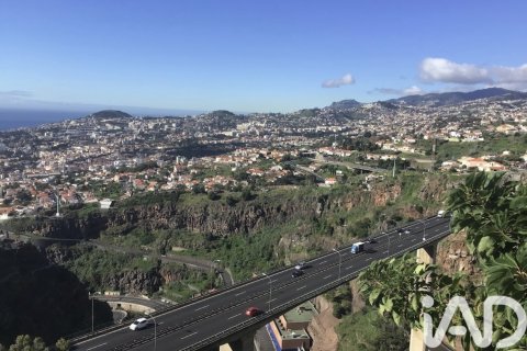 Liikekiinteistö myytävänä Mala, Lanzarote, Espanja , 1214 m2 No. 152254 - kuva 20