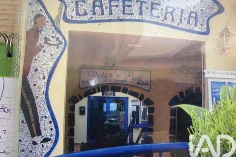 Liikekiinteistö myytävänä Mala, Lanzarote, Espanja , 1214 m2 No. 152254 - kuva 8