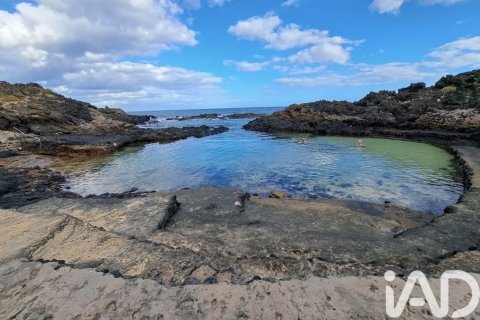 Komerciāls īpašums pārdošanā Mala, Lanzarote, Spānijā 1214 m2 Nr. 152254 - attēls 28