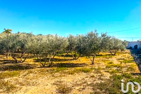 Продажа дома в Мутксамель, Аликанте, Испания 9 спален, 690м2 №153752 - фото 18