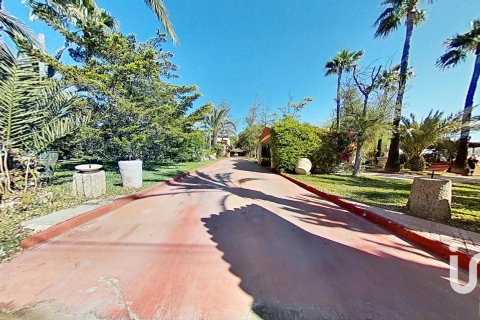 Сasa en venta en Elche, Alicante, España 5 dormitorios, 397 m2 No. 153448 - foto 6