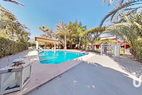 Сasa en venta en Elche, Alicante, España 5 dormitorios, 397 m2 No. 153448 - foto 4