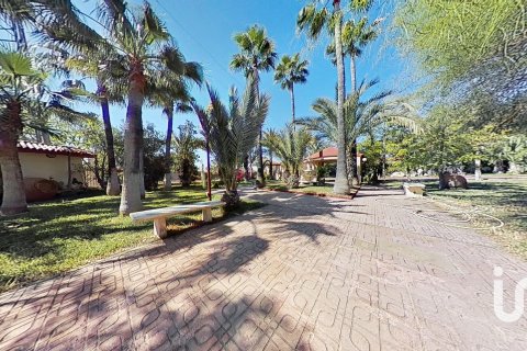 Сasa en venta en Elche, Alicante, España 5 dormitorios, 397 m2 No. 153448 - foto 8