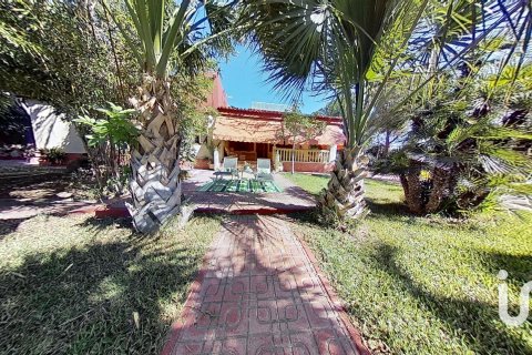 Māja Elche, Alicante, Spānijā 5 istabas, 397 m2 Nr. 153448