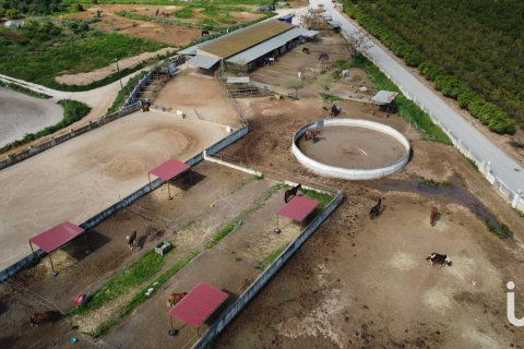 Hotell till salu i Els Poblets, Alicante, Spanien 14 sovrum, 14637 kvm. Nr. 153443 - foto 26