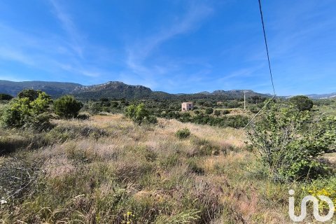 Terreno in vendita a Alforja, Tarragona, Spagna 66862 mq. N° 153442 - foto 12