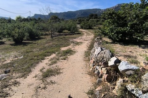 Terreno in vendita a Alforja, Tarragona, Spagna 66862 mq. N° 153442 - foto 5