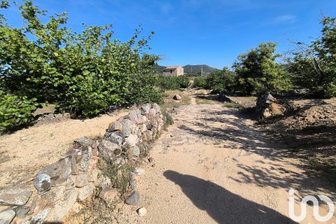 Terreno in vendita a Alforja, Tarragona, Spagna 66862 mq. N° 153442 - foto 4