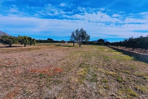 Zemes gabals Benidoleig, Alicante, Spānijā 1445 m2 Nr. 184797