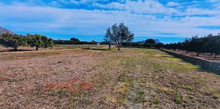 Terreno a Benidoleig, Alicante, Spagna 1445 mq. N° 184797