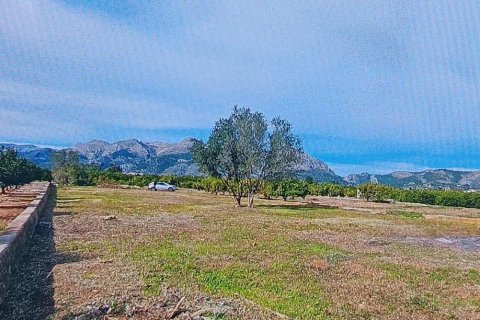 Terreno in vendita a Benidoleig, Alicante, Spagna 1445 mq. N° 184797 - foto 2