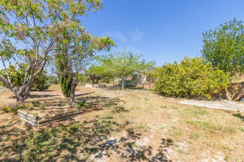 House à vendre à Teulada, Alicante, Espagne, 8 chambres, 411 m2 No. 179192 - photo 7