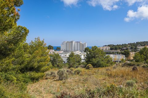 Terreno in vendita a Mallorca, Spagna N° 148045 - foto 13