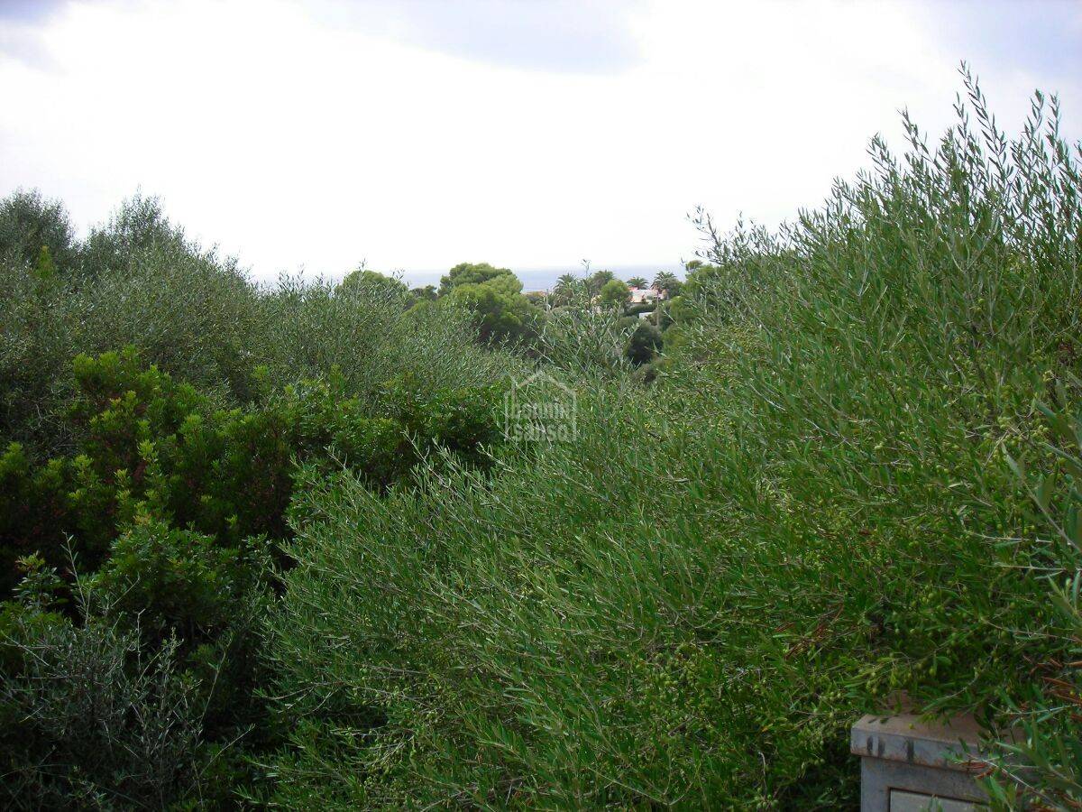 Land in Binibeca, Menorca, Spanien Nr. 183208