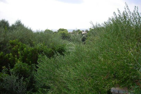 Tontti myytävänä Binibeca, Menorca, Espanja , No. 183208 - kuva 5