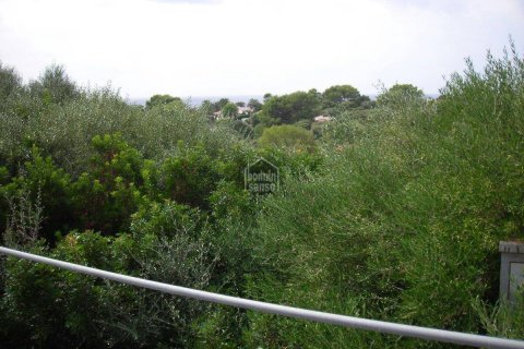 Tontti myytävänä Binibeca, Menorca, Espanja , No. 183208 - kuva 4
