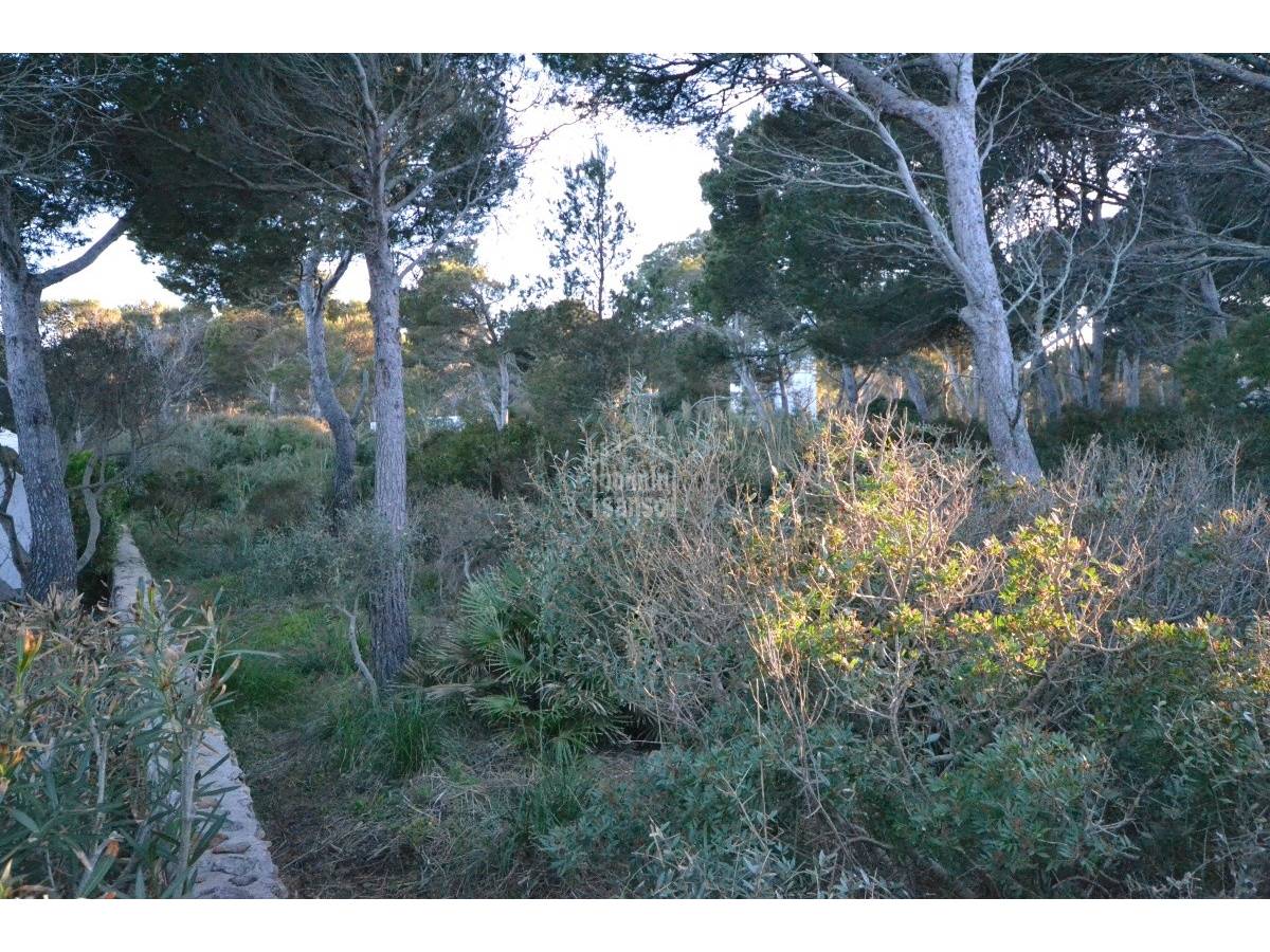 Land plot in Ciutadella De Menorca, Menorca, Spain No. 183212