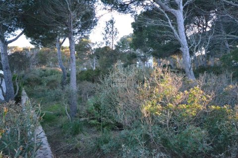 Tomt till salu i Ciutadella De Menorca, Menorca, Spanien Nr. 183212 - foto 6