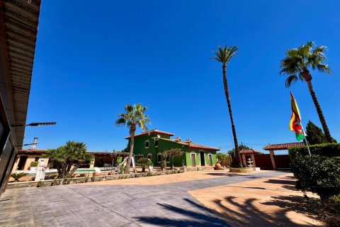 Villa till salu i Almoradi, Alicante, Spanien 4 sovrum, 493 kvm. Nr. 196652 - foto 6