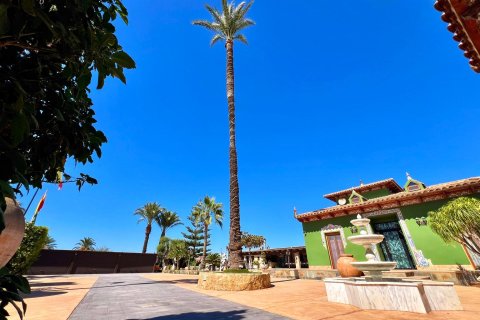 Villa till salu i Almoradi, Alicante, Spanien 4 sovrum, 493 kvm. Nr. 196652 - foto 4