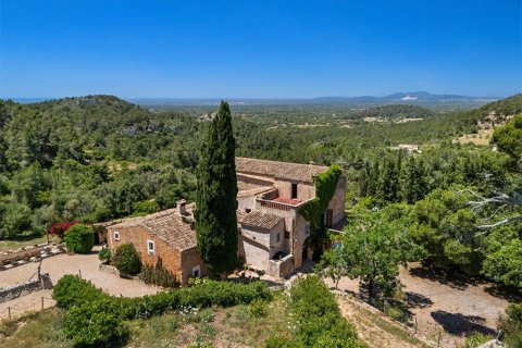 Villa en venta en Felanitx, Mallorca, España 7 dormitorios, 1081 m2 No. 143485 - foto 28