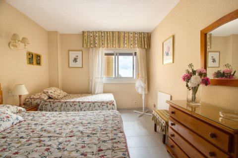 Apartment for sale Torrevieja, Alicante, Spain 3 bedrooms, 111 sq.m. No. 135699 - photo 20