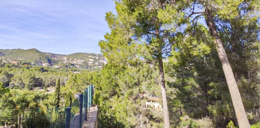 Land plot in Mallorca, Spain No. 147819