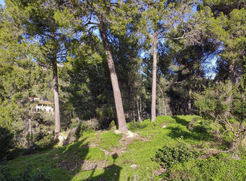 Terreno a Mallorca, Spagna N° 147819