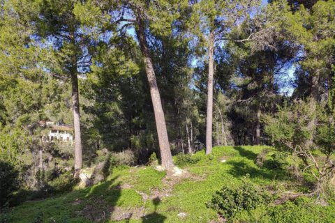 Land plot for sale in Mallorca, Spain No. 147819 - photo 3