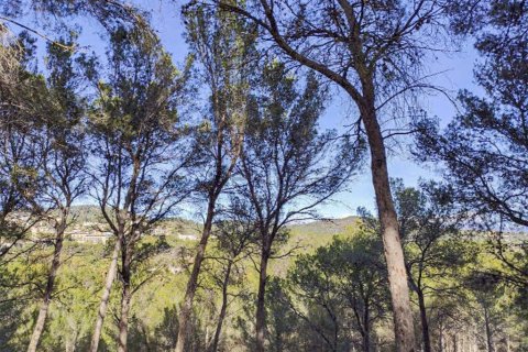 Land plot for sale in Mallorca, Spain No. 147819 - photo 9