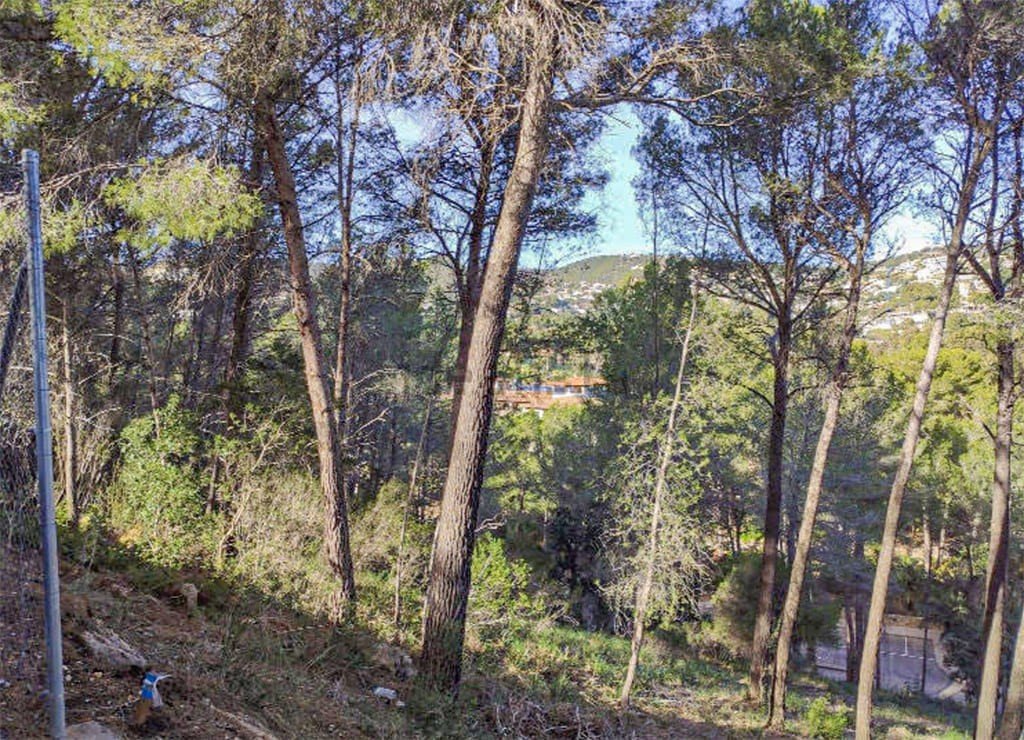 Terreno a Mallorca, Spagna N° 147819